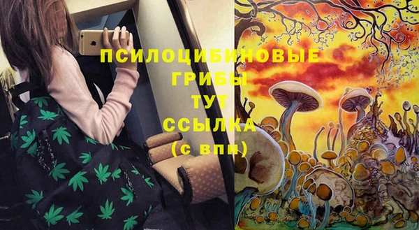 стафф Михайлов