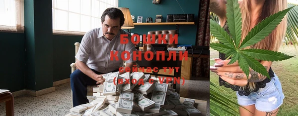 молекула духа Надым