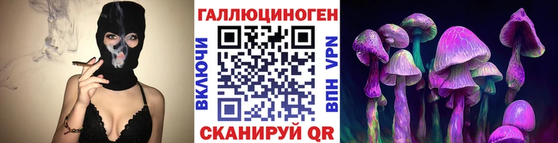 площадка как зайти  Невельск  Псилоцибиновые грибы GOLDEN TEACHER 